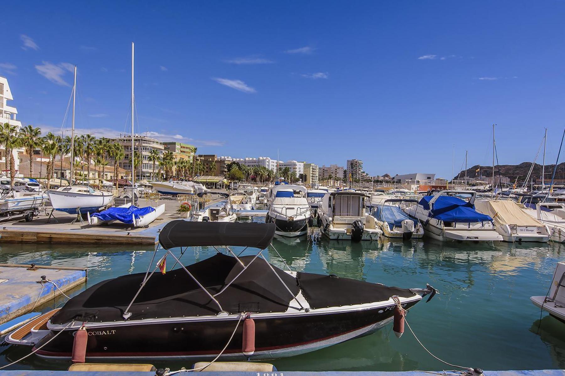 Aguilas Delicias Piscina Wifi Ac Parking Gratis Экстерьер фото