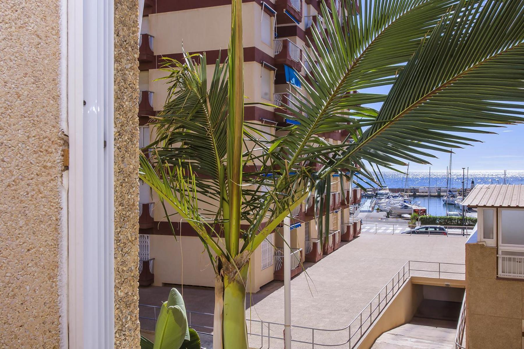 Aguilas Delicias Piscina Wifi Ac Parking Gratis Экстерьер фото